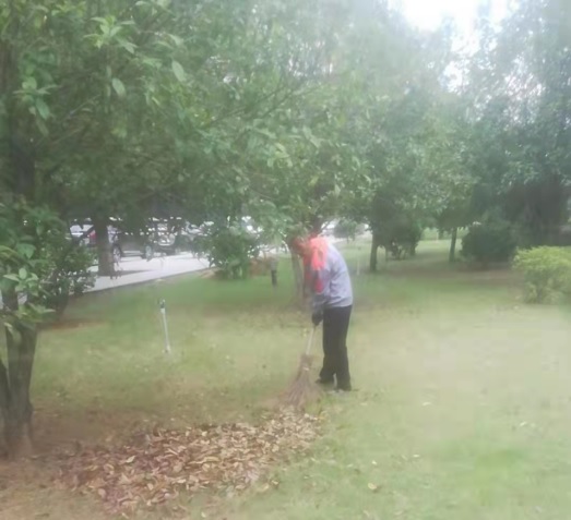 后勤服務處開展愛國衛生運動