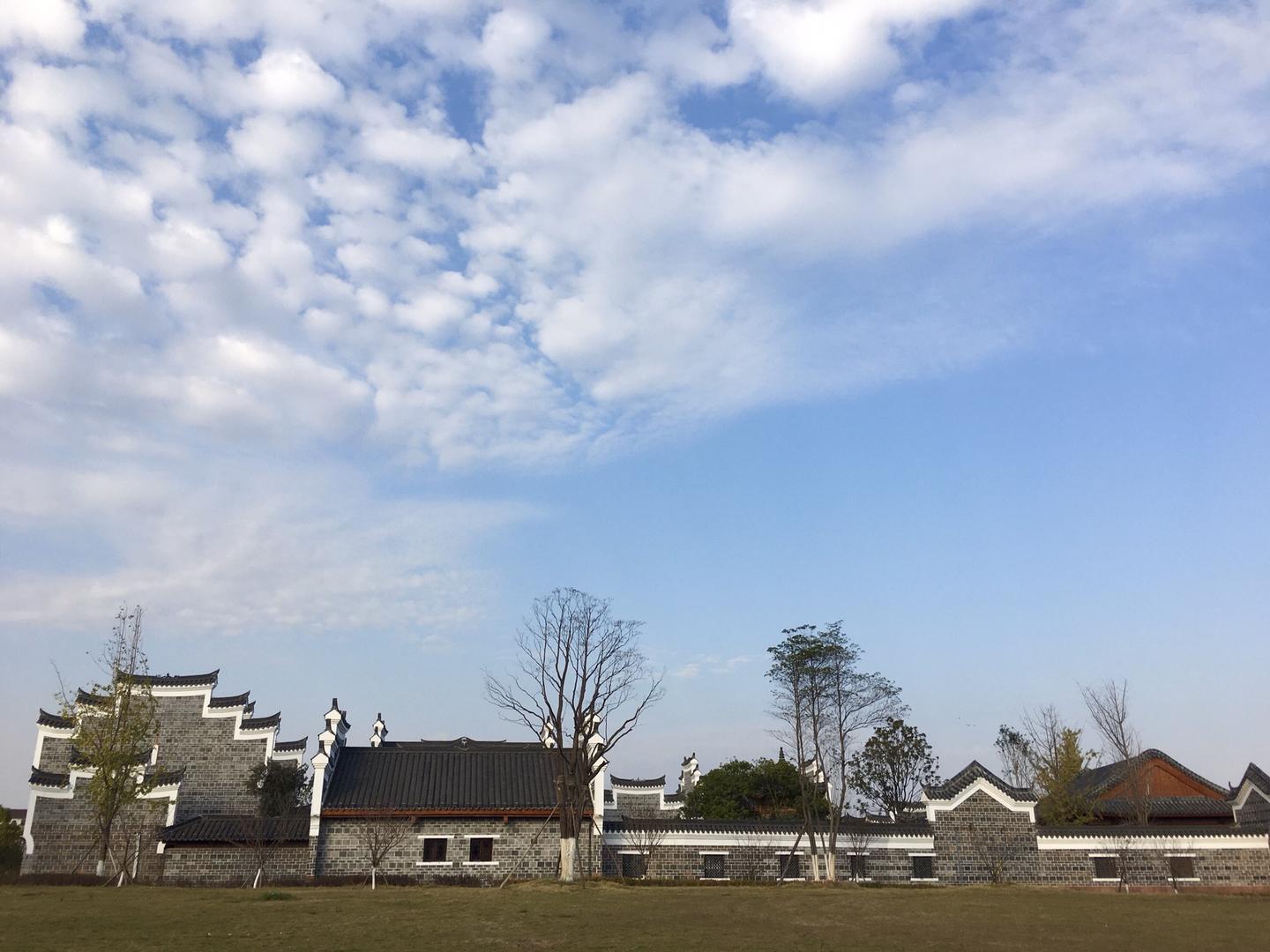 三八賞春正當時,衡陽東洲好風景